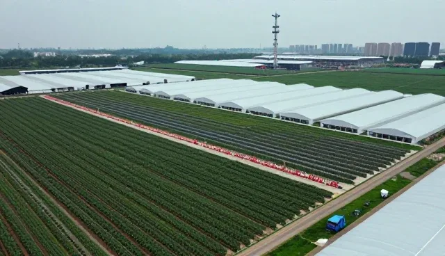农产品收购与使用中的常见问题与维护建议
