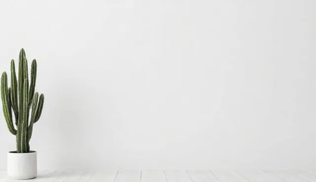 技术型企业使用规范问题及处理方向