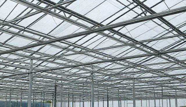 供求发布套餐选型需避开建站误区