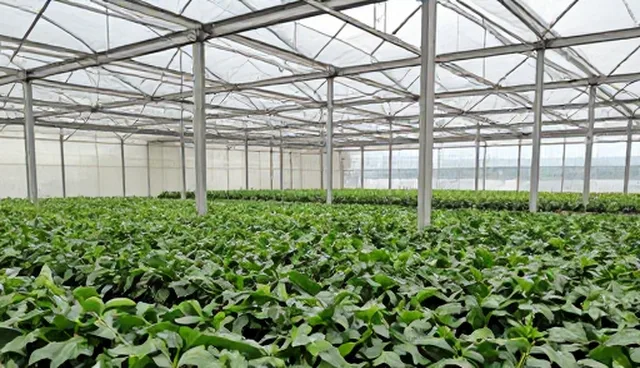 视频剪辑应用场景分析：性能与适用条件选型