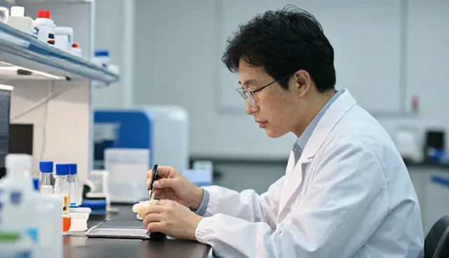 技术转让中技术支持对项目成败的关键影响