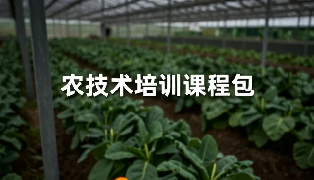 提升系统性能的关键策略与实际应用