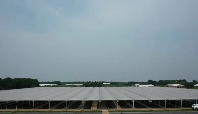提升系统性能的关键因素与实际应用场景分析