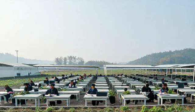 师资培训课程如何在不同场景中精准落地