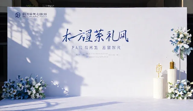 短视频制作套餐：团队配置对性能的影响分析