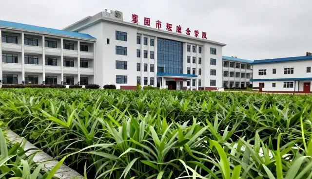 农产品销售模式升级：特色农副产品如何应对市场变化