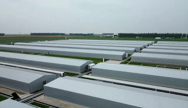 真空干燥设备日常使用与维护的关键要点
