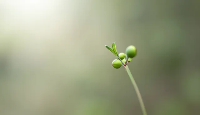 信息系统集成：业务发展趋势下的处理方法分析