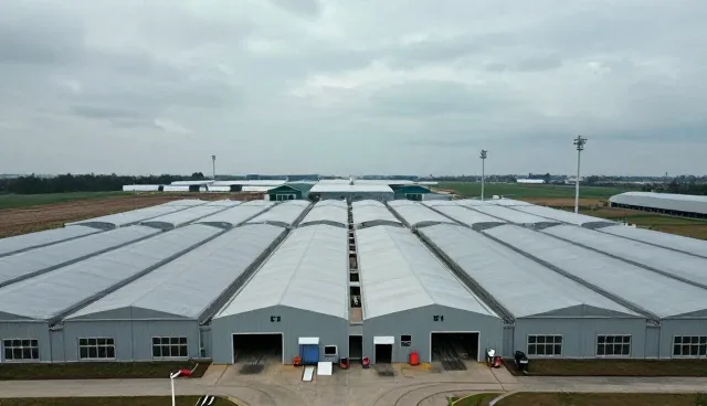透明报价在紧急救援场景中的实际应用与价值
