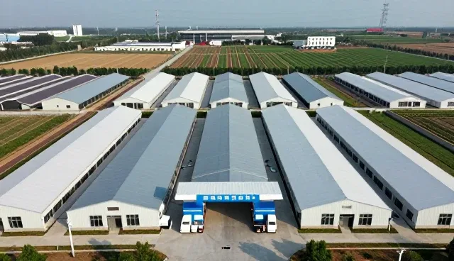 信息技术咨询选型中的关键关注点解析