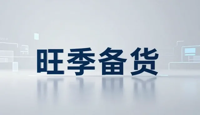 项目执行中的性能优化与适用条件分析