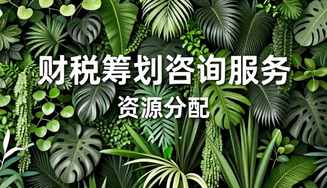 财税咨询在资源分配中的实践与优化路径