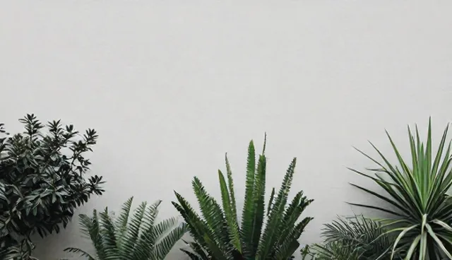 供求发布平台如何提升推广效果？