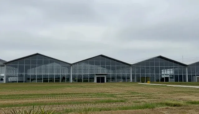 短视频运营如何提升电商用户体验