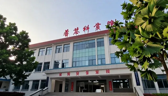 影视策划中信任建立的关键路径与适用条件分析