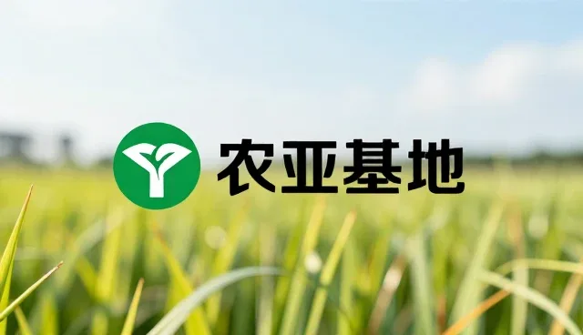 内容布局如何影响平面设计在拍摄场景中的表现