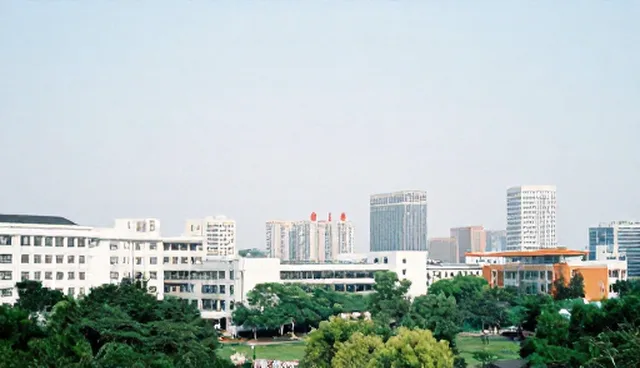 软件开发如何应对性能瓶颈？