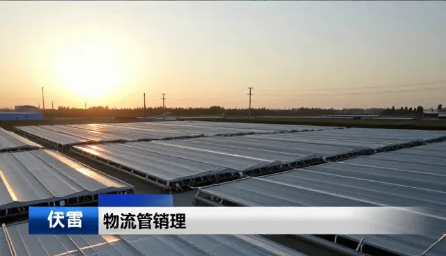 装卸搬运在货运场景中的实际应用与优化路径