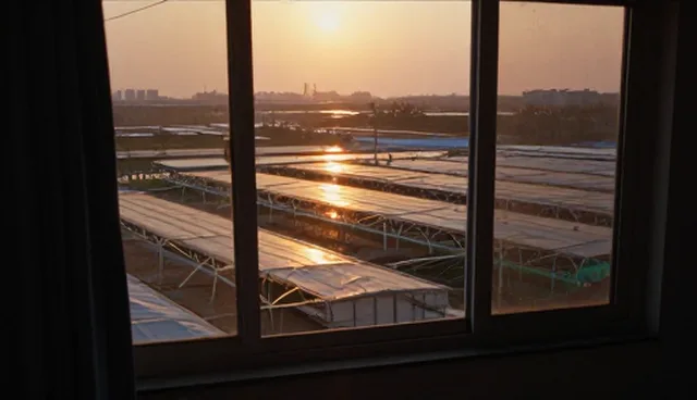 本地财税筹划方案的实用操作指南