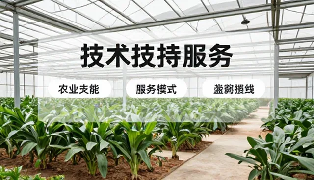 设计选型中的常见问题及应对策略