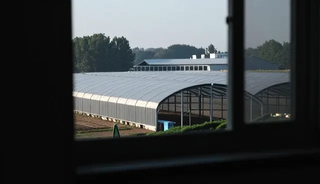 在网站建设中如何平衡性能与成本