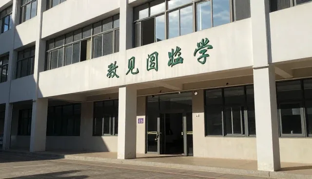 技术升级背景下网站建设的性能优化策略