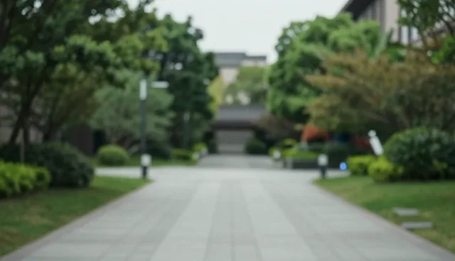 商业项目策划中，如何平衡成本与效果的取舍