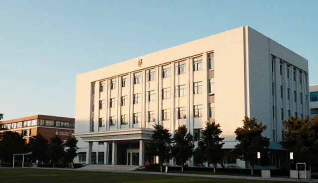 项目执行中团队能力如何影响会务服务质量
