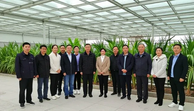 农产品基地合作中适用条件的误区与解决方案