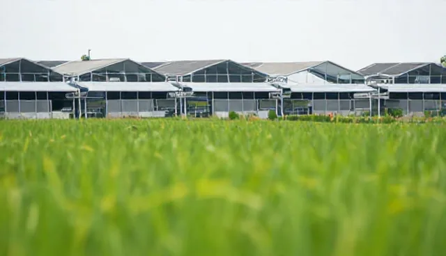 免费网站制作的适用情况与限制分析