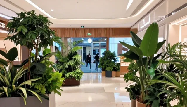 用户留存难题如何通过互动设计破解，短视频拍摄成为关键