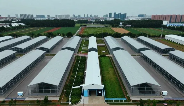 医疗流程优化中的健康咨询选型关注点分析