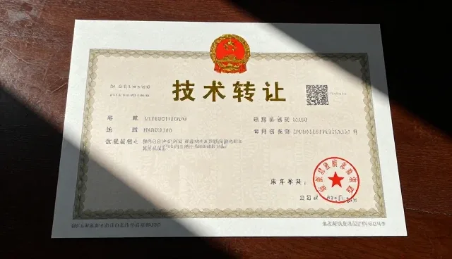 技术咨询服务在产业升级中的关键作用与发展方向