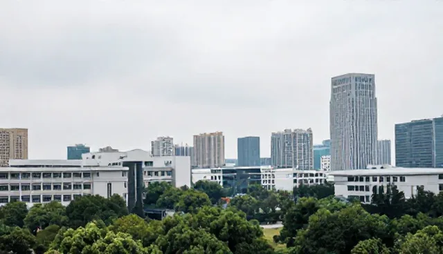 数据安全与项目管理流程优化的选型关注点