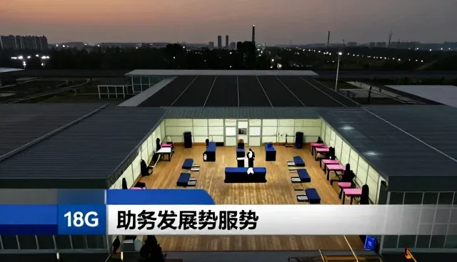 诊疗规范在康复效果提升中的关键作用