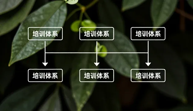 账号代运营选型关注点及应用场景分析