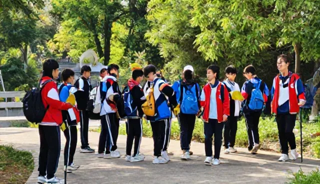 旅游咨询：服务质量对包车业务的影响分析