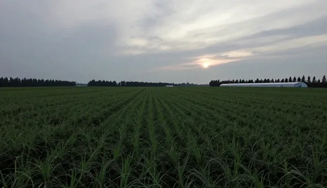 水产养殖设备选型中的关键考量因素