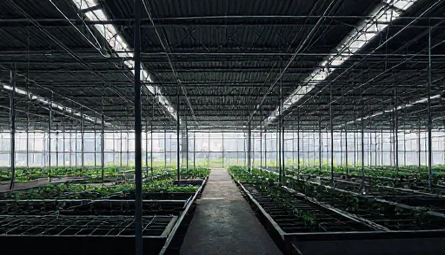 股票分析提示词优化：提示词编排与效果验证