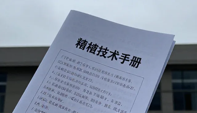种植技术指导如何推动仓储保鲜服务升级
