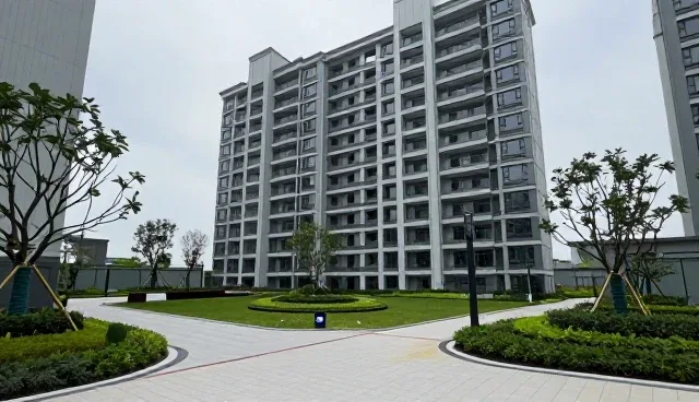 网络建站：如何通过H5网站开发定制提升企业采购需求