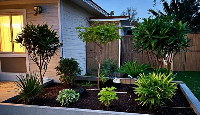 园林绿化养护选型中如何把握关键环节
