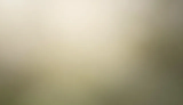 提升设备维护效率的实用技术建议