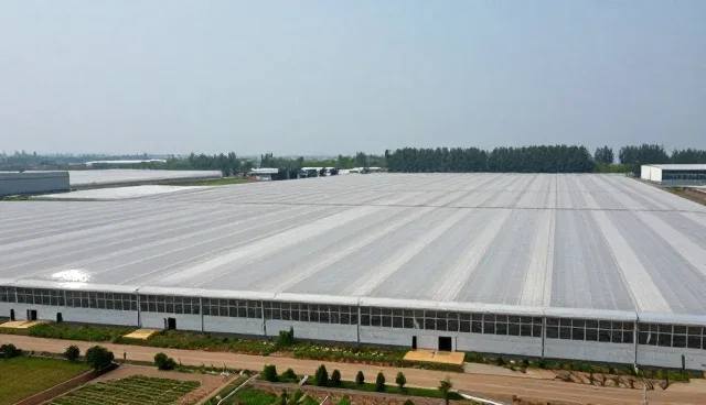 网站设计上海：招商合作中选型与维护建议
