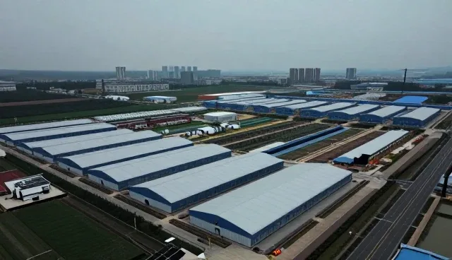 企业官网建设如何适应当前网络业务趋势