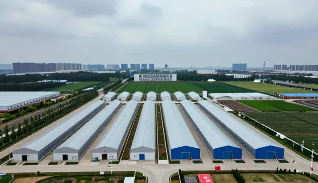 技术处理在机电安装中的应用与场景解析