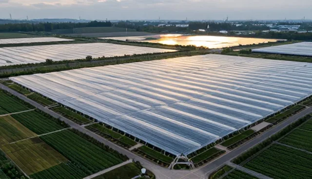 业务场景下应用开发选型的关键考量与维护实践