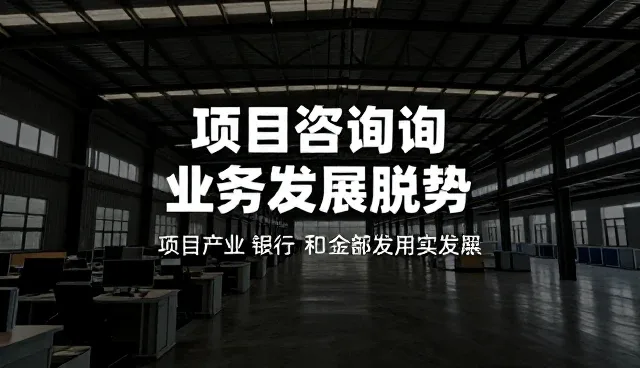 项目咨询服务中的业务问题解决策略与实践