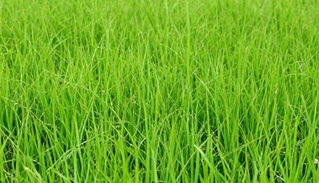 企业选型中安装调试环节的应用考量