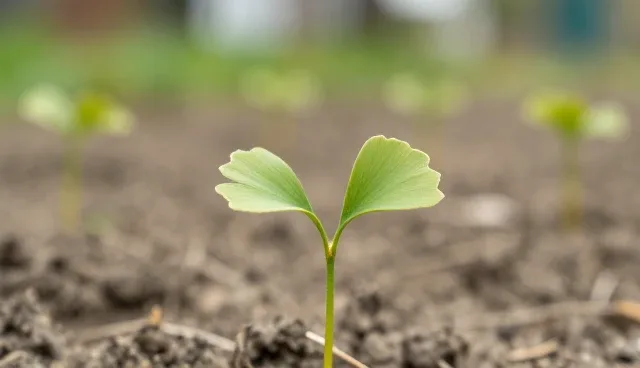 仓储保鲜技术在种植技术中的应用与适应性分析